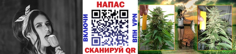 Шишки марихуана семена  Свободный 